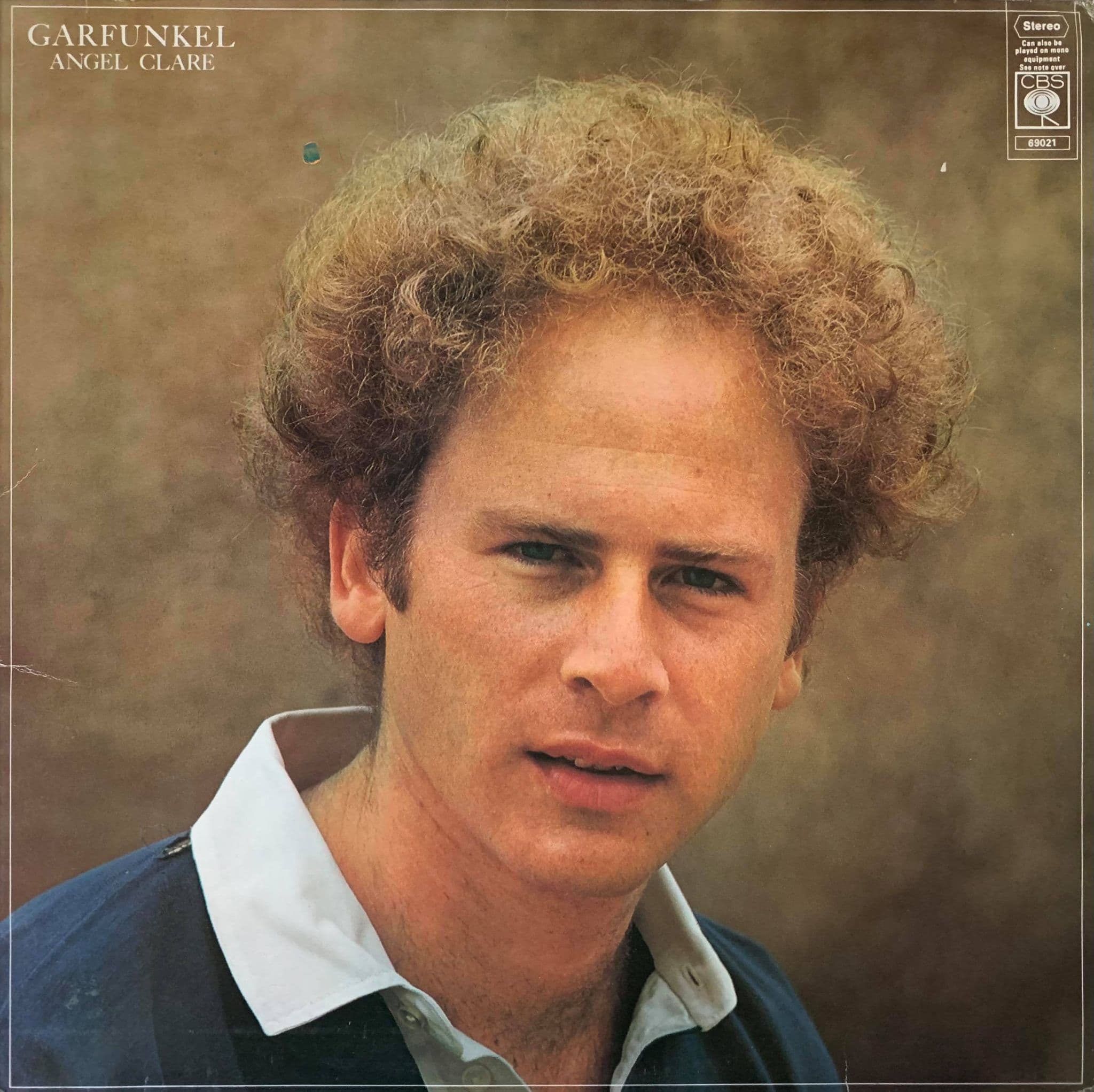A Bridge Called Garfunkel